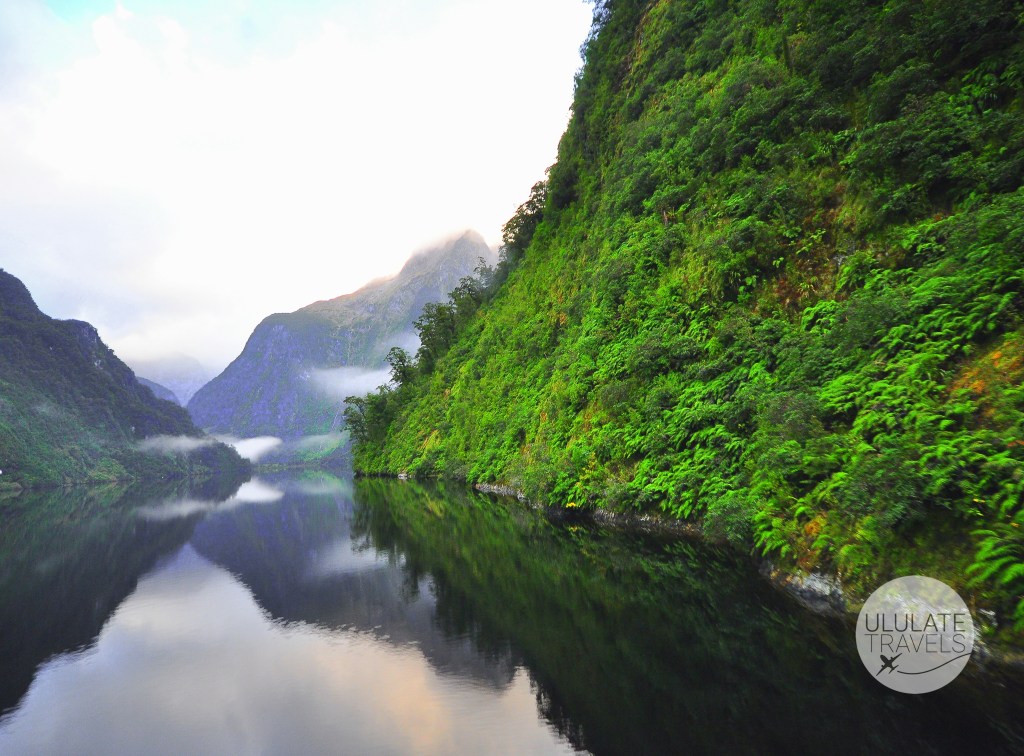 Doubtful Sound- NZ-1